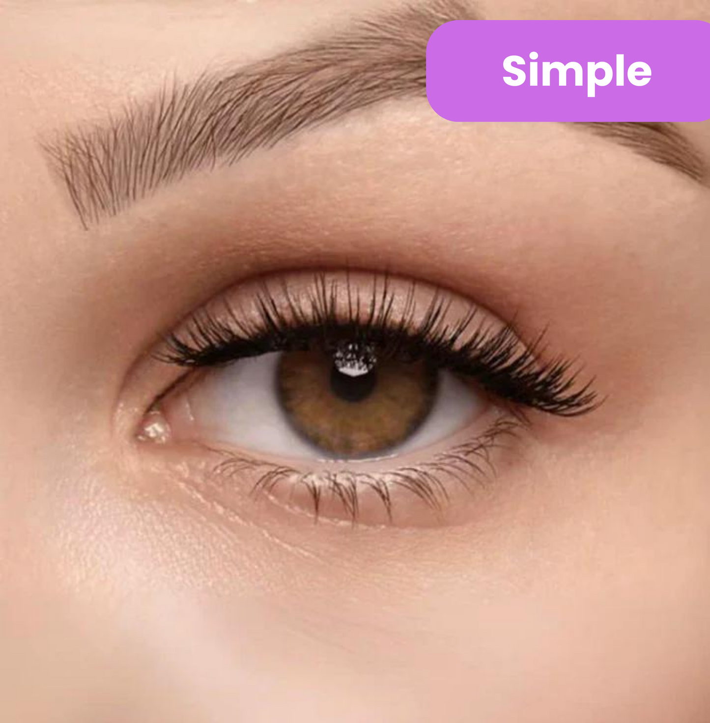 ViralLush Magnetic Lashes
