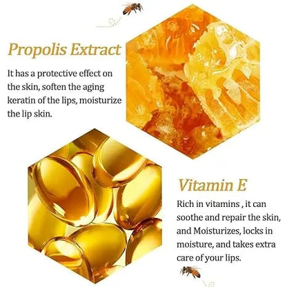 Bee Lip Balm Honey Pot -Nourish with Natural Beeswax