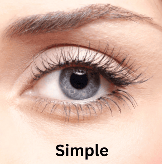 ViralLush™  Magnetic Lashes