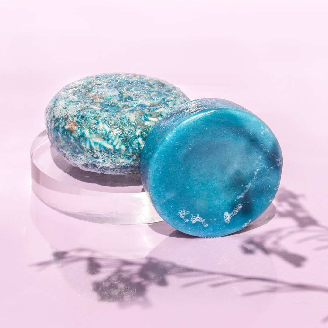 Blueberry Shampoo & Conditioner Bundle