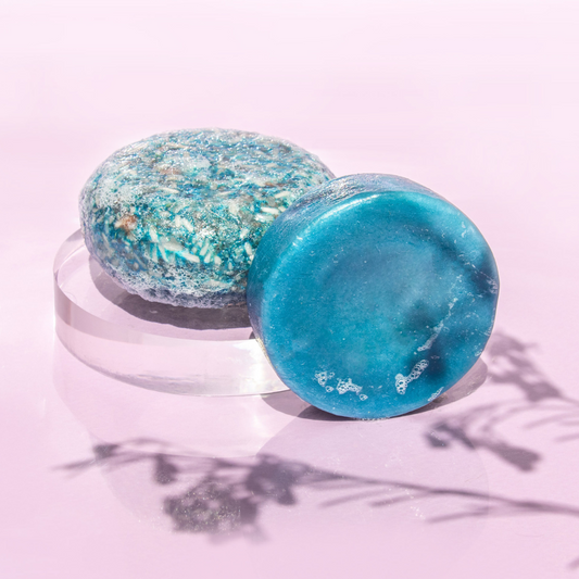 Blueberry Shampoo & Conditioner Bundle