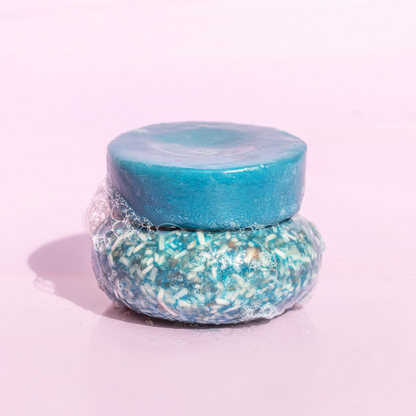 Blueberry Shampoo & Conditioner Bundle