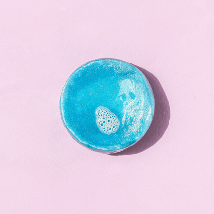 Blueberry Shampoo & Conditioner Bundle