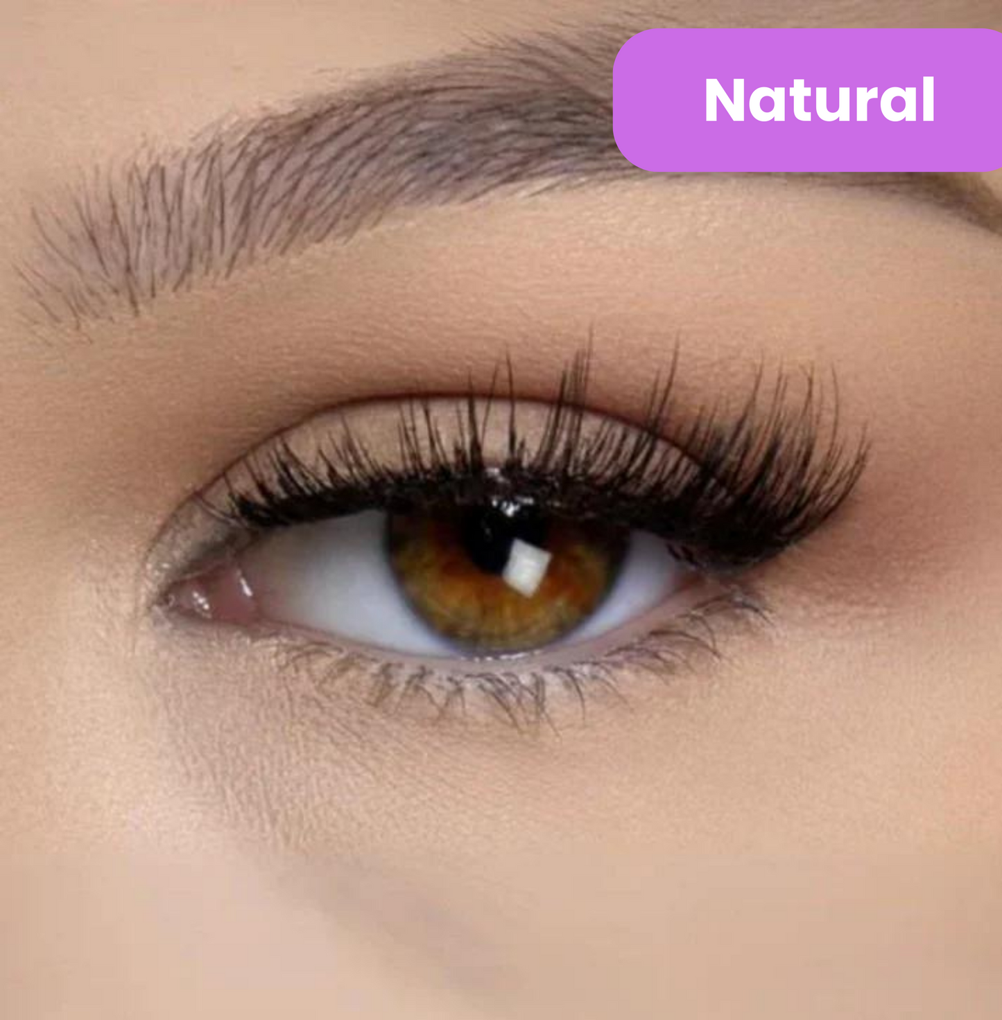 ViralLush Magnetic Lashes