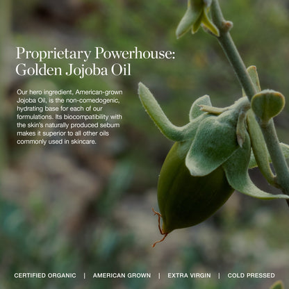 Contour Collections Sculpted Face Stick Bundle 3pc